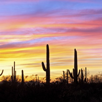 Arizona-sunset